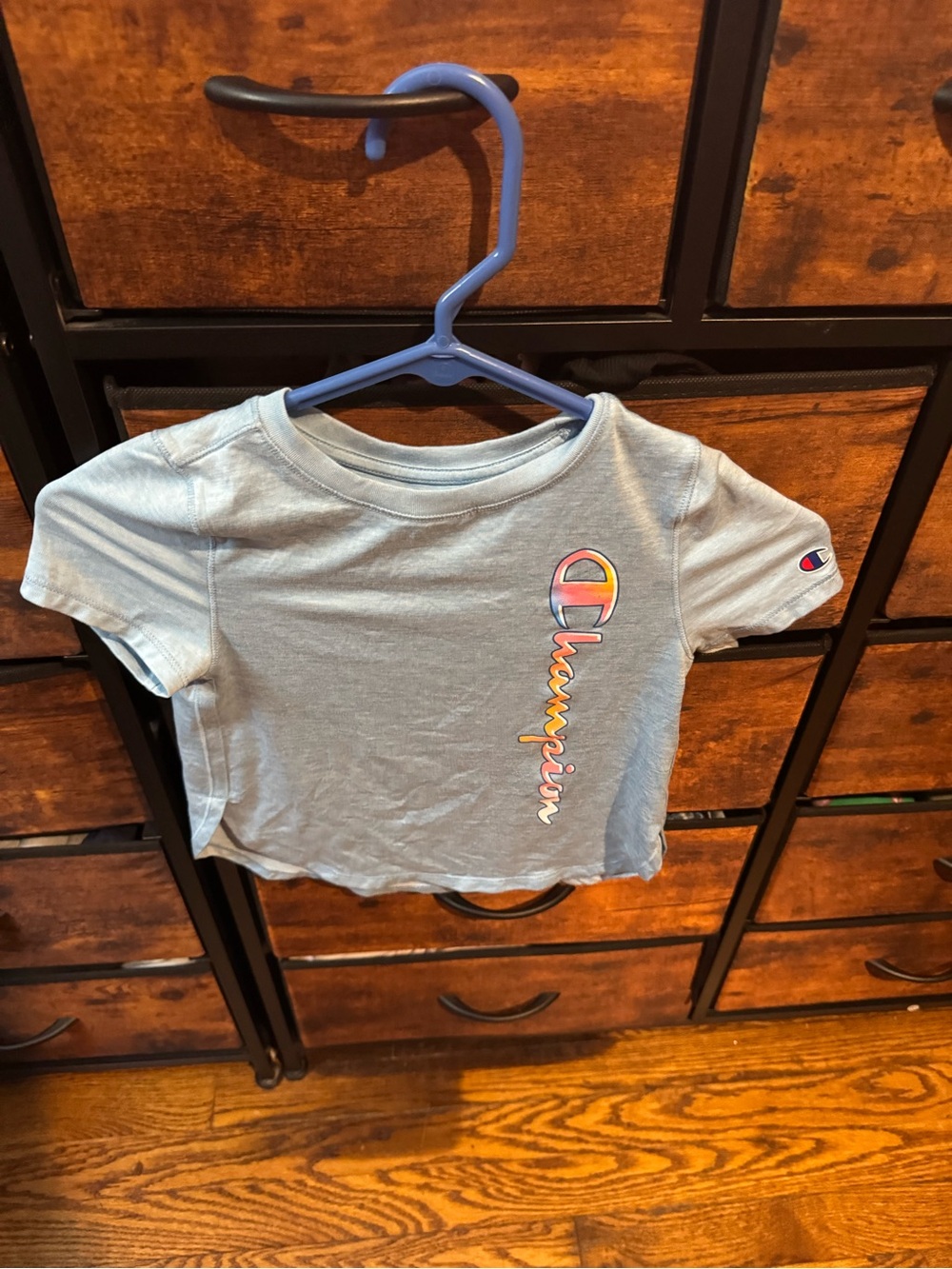 Champion Light Blue Short Sleeve Logo Tee with Multicolor Script